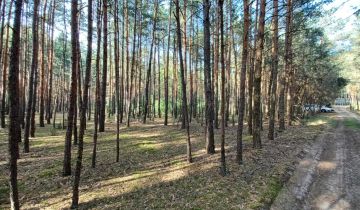 Działka rekreacyjna Lelewo