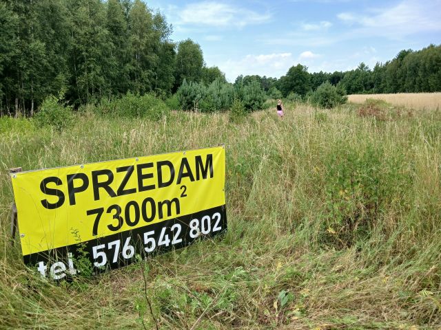 Działka rolna Moniochy. Zdjęcie 1