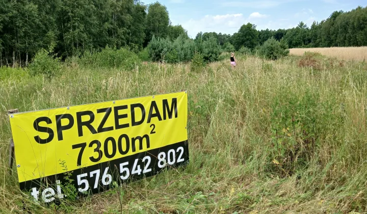 Działka rolna Moniochy