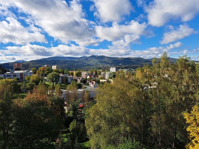 Mieszkanie 1-pokojowe Bielsko-Biała Złote Łany. Zdjęcie 11