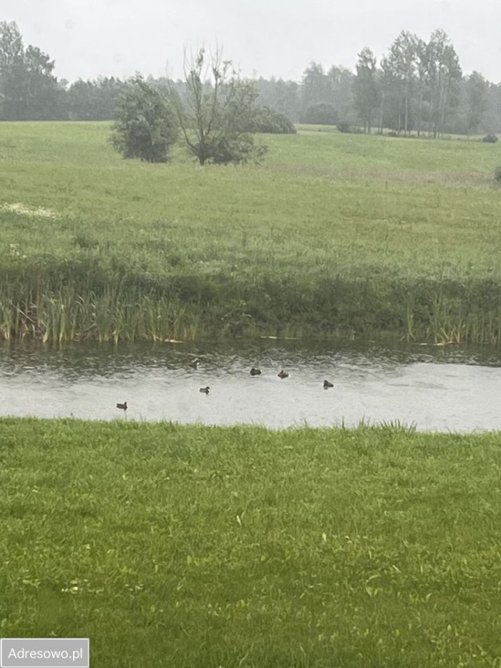 gospodarstwo, 6 pokoi Juchnajcie. Zdjęcie 3