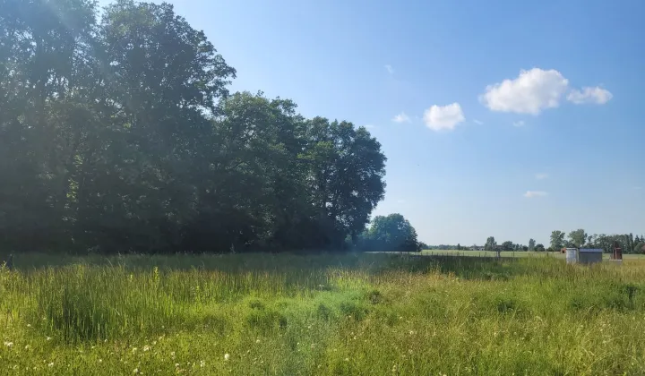 Działka budowlana Długie