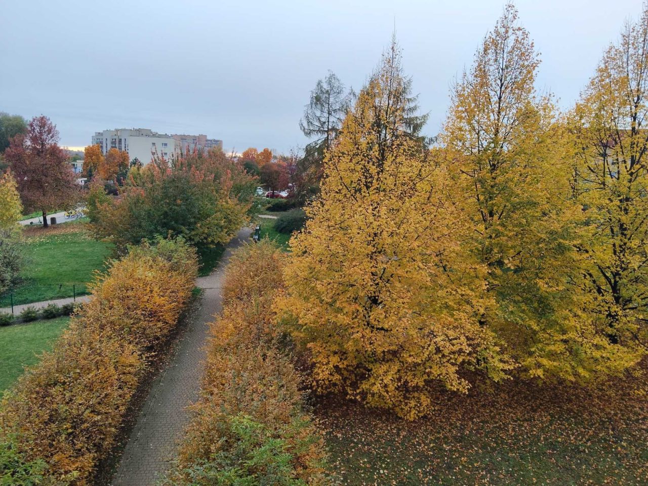 Mieszkanie 1-pokojowe Chorzów Klimzowiec. Zdjęcie 2