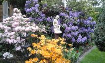 Działka rod Nowy Tomyśl. Zdjęcie 2