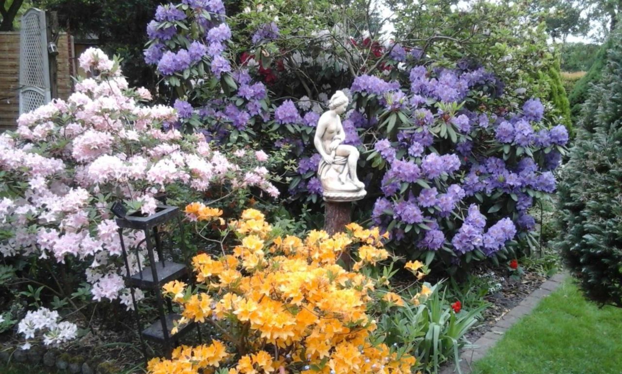 Działka rod Nowy Tomyśl. Zdjęcie 3