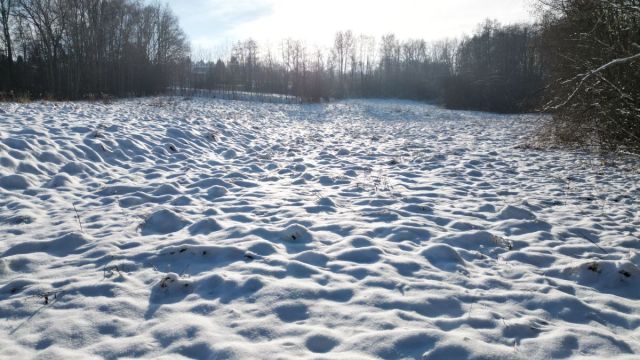 Działka inwestycyjna Libertów, ul. Zgodna. Zdjęcie 15