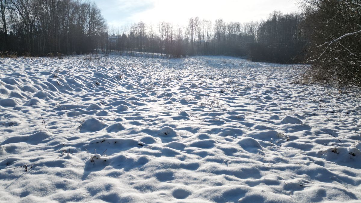 Działka inwestycyjna Libertów, ul. Zgodna. Zdjęcie 15