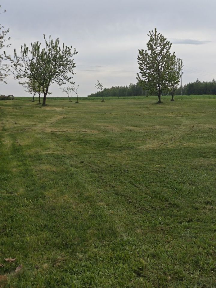 Działka budowlana Bujny. Zdjęcie 2