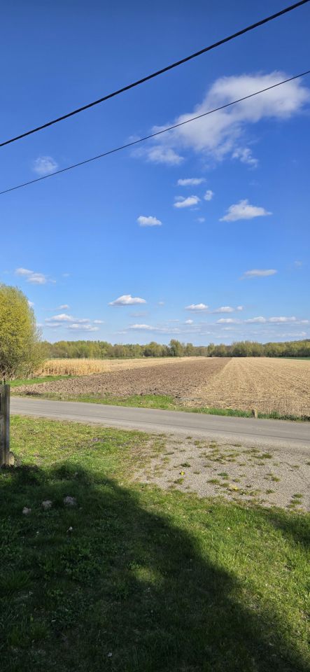 Działka rolna Pielaszów. Zdjęcie 2