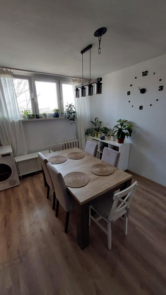 Mieszkanie 3-pokojowe Bielsko-Biała Stare Bielsko, ul. Kozia. Zdjęcie 8