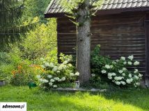 siedlisko, 2 pokoje Mały Głęboczek. Zdjęcie 4