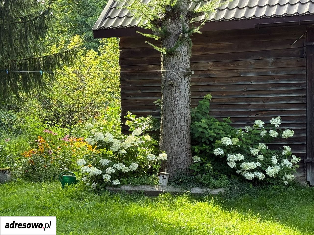 siedlisko, 2 pokoje Mały Głęboczek. Zdjęcie 5