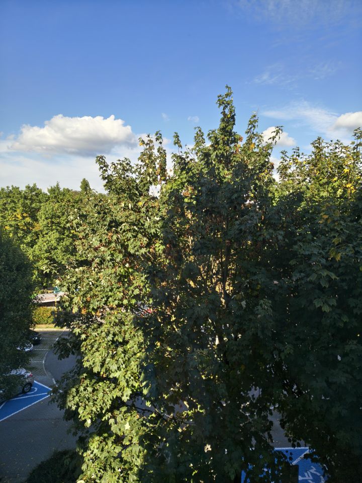 Mieszkanie 2-pokojowe Szczecin Bukowe, ul. Różowa. Zdjęcie 20