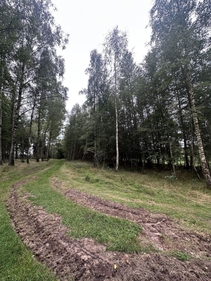 Działka leśna Łętowo. Zdjęcie 6