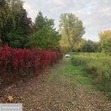 Działka budowlana Kępa Kiełpińska. Zdjęcie 3