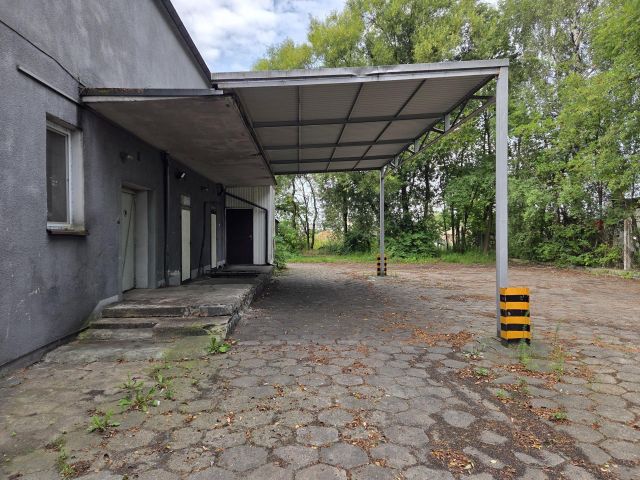 Lokal Oborniki, ul. Polna. Zdjęcie 8