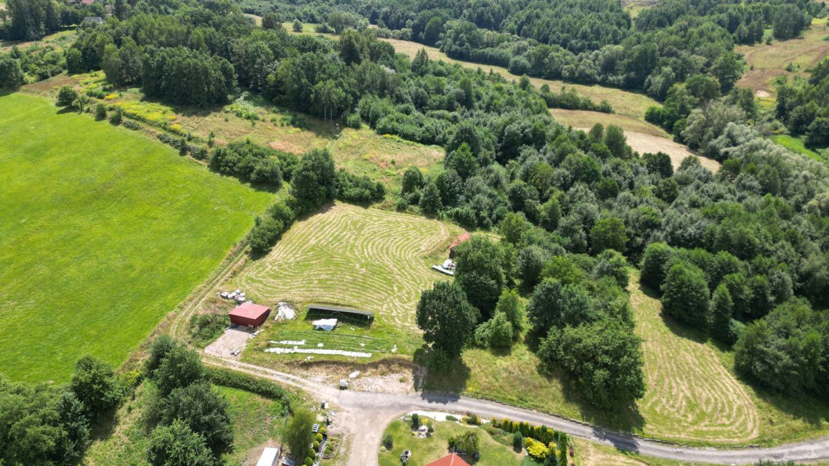 Lokal Gaj Brzyczyna, ul. Spadzista. Zdjęcie 6