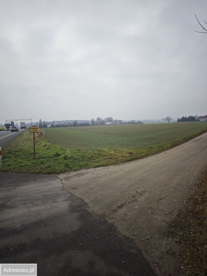Działka inwestycyjna Grońsko. Zdjęcie 2