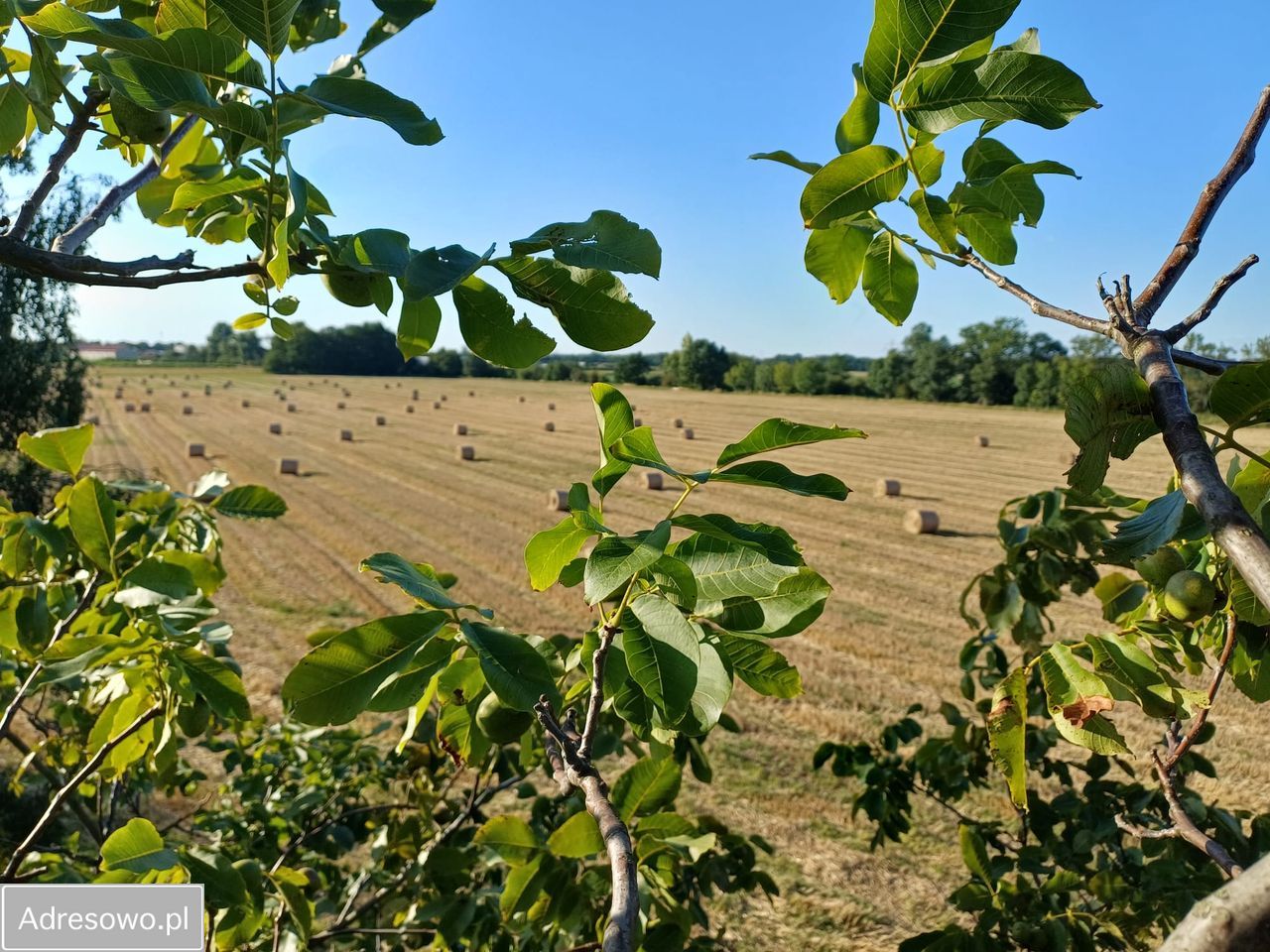 Działka budowlana Wrocław Strachocin, ul. Rolnicza. Zdjęcie 10