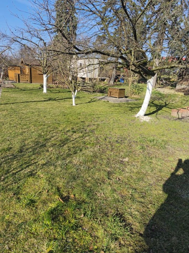 Działka rod Gostyń, ul. Hipolita Niestrawskiego. Zdjęcie 1