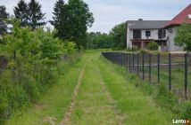 inny Motycz. Zdjęcie 3