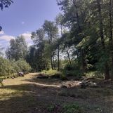 Działka rolno-budowlana Biejków. Zdjęcie 1