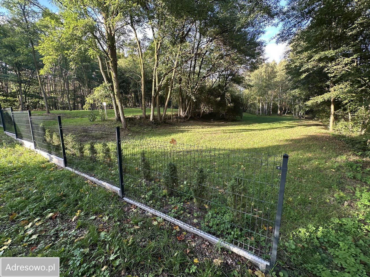 Działka budowlana Biedrzychowice Dolne. Zdjęcie 9