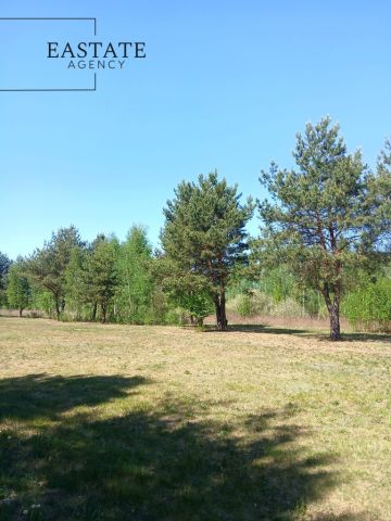 Działka budowlana Koryta, ul. Lipowa. Zdjęcie 4