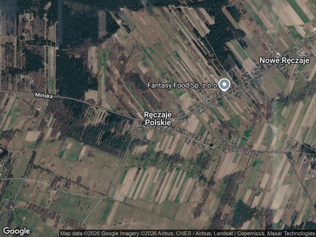 Działka rolna Ręczaje Polskie. Zdjęcie 1