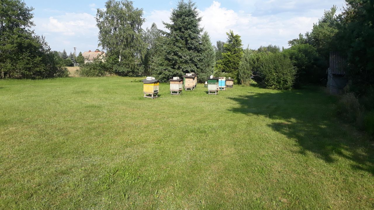 Działka siedliskowa Tarkowo Dolne. Zdjęcie 10