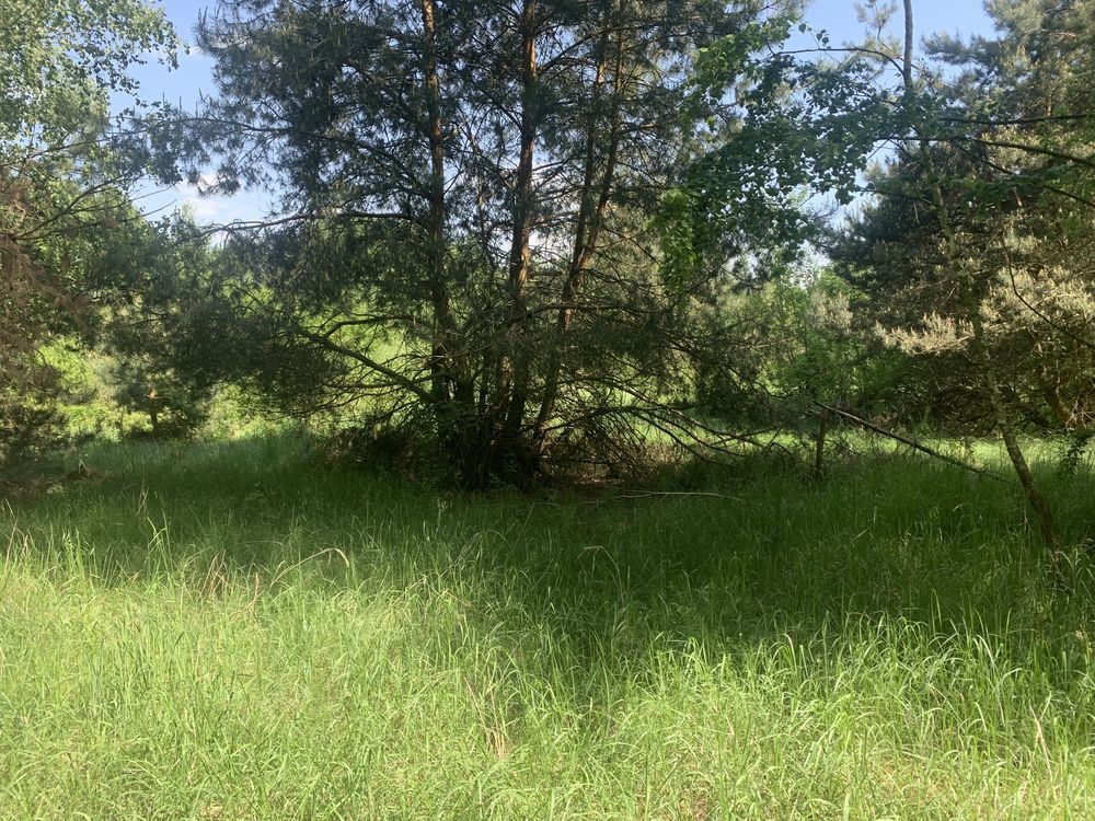 Działka budowlana Falęcice. Zdjęcie 6