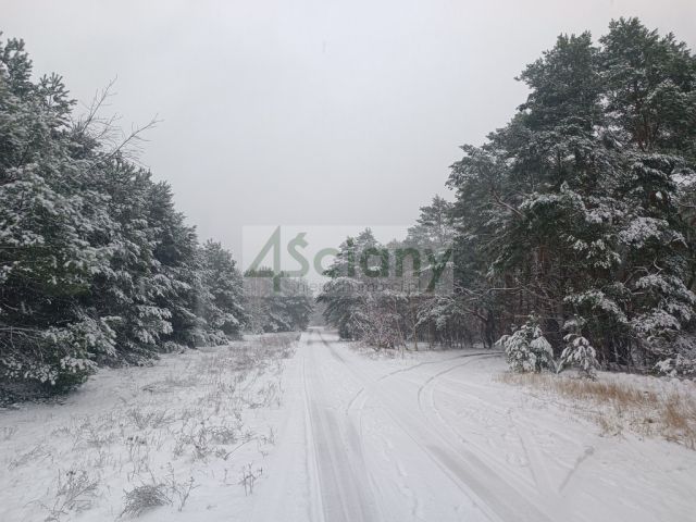 Działka budowlana Warszawa Wawer, ul. Krokusów. Zdjęcie 1