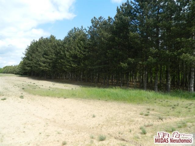 Działka rolna Kowal. Zdjęcie 5