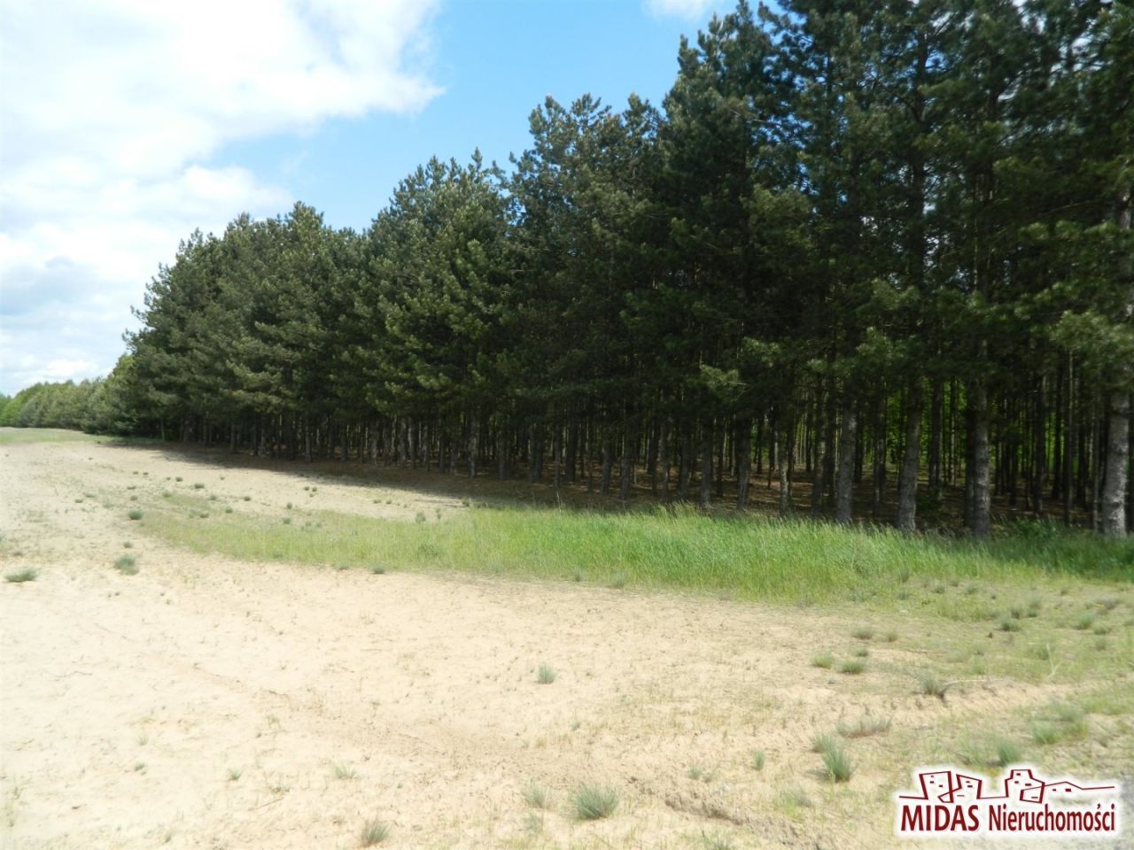 Działka rolna Kowal. Zdjęcie 5