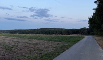 Działka rolna Wolica