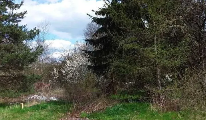 Działka rolna Rzgów, ul. Literacka