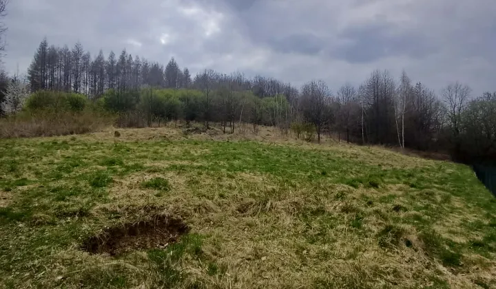Działka rolna Dynów, Podgórska