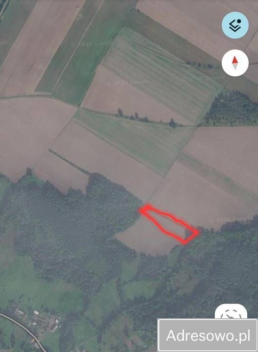 Działka rolna Stara Kopernia. Zdjęcie 2