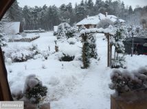 Lokal Niechorz. Zdjęcie 1