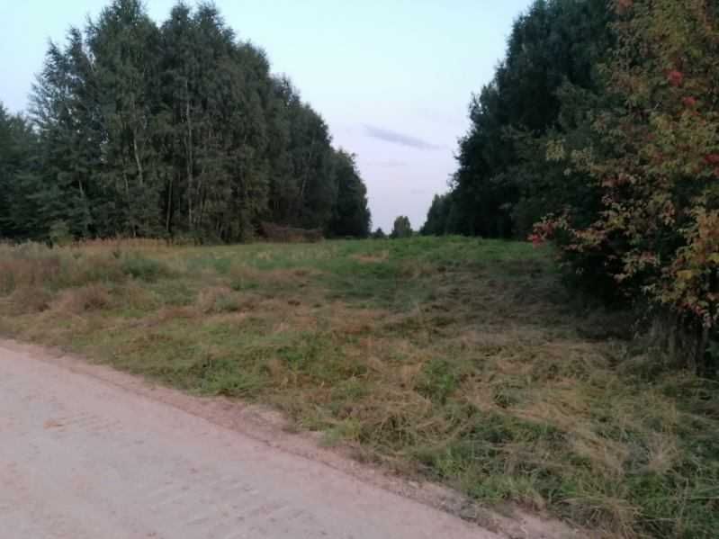 Działka inwestycyjna Wąchock. Zdjęcie 2