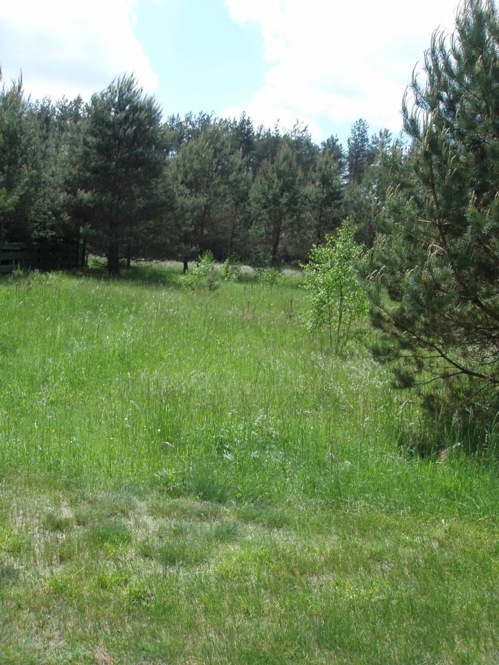 Działka budowlana Natać Wielka. Zdjęcie 6