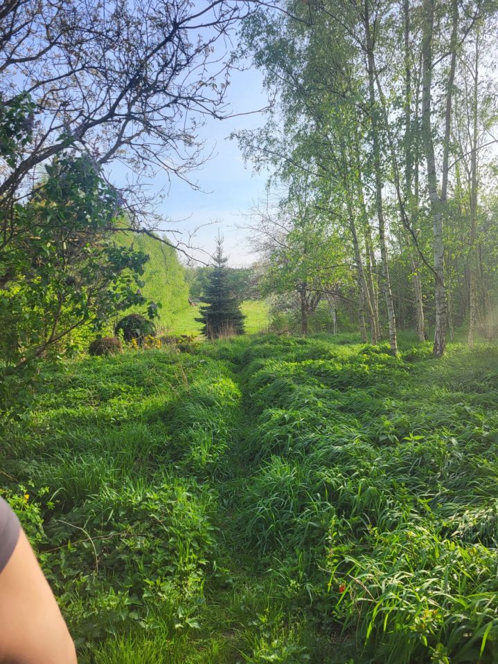 Działka rolno-budowlana Mirosławice. Zdjęcie 6