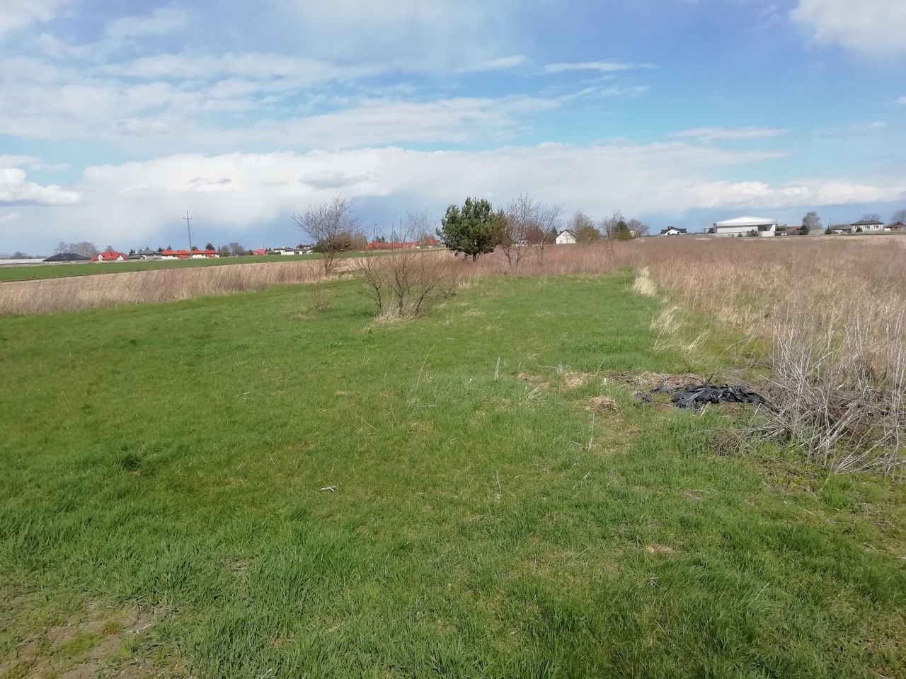 Działka rolno-budowlana Janczewice, ul. Żytnia. Zdjęcie 11