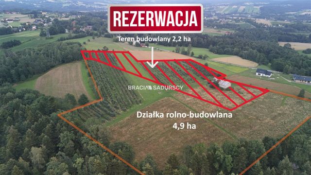 Działka rolna Łapanów. Zdjęcie 1