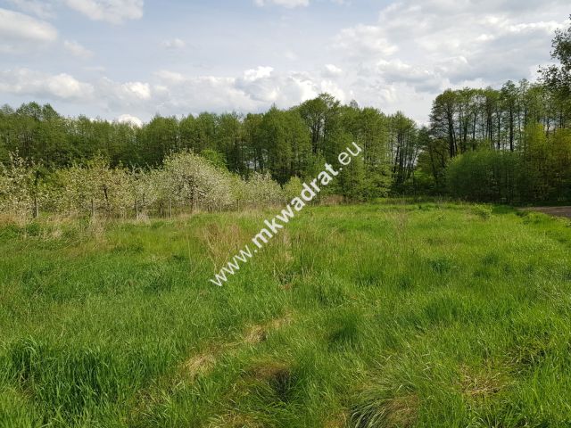 Działka budowlana Wola Pękoszewska. Zdjęcie 3