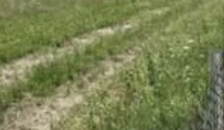 Działka budowlana Zawiercie Skarżyce, ul. Turystyczna