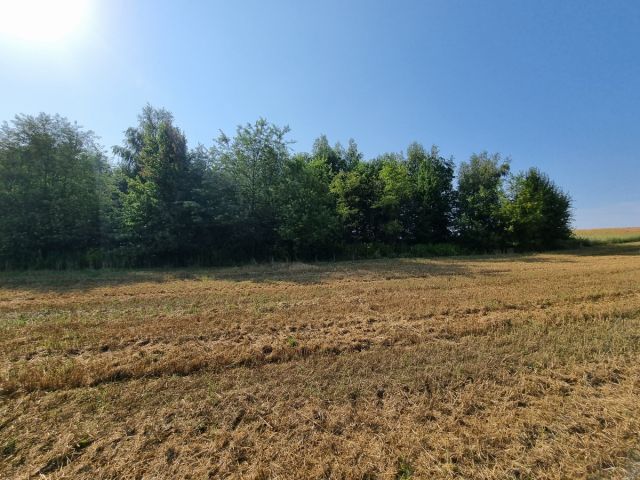 Działka budowlana Oborniki Śląskie, ul. Wolności. Zdjęcie 15