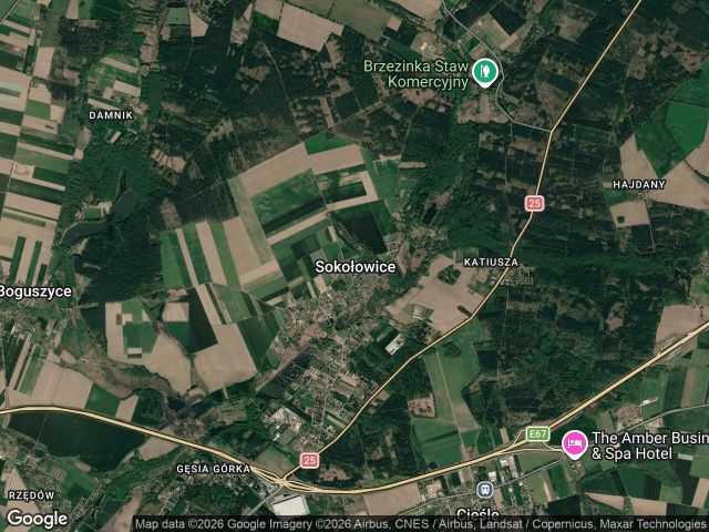 dom wolnostojący, 6 pokoi Sokołowice Sokołowice. Zdjęcie 1