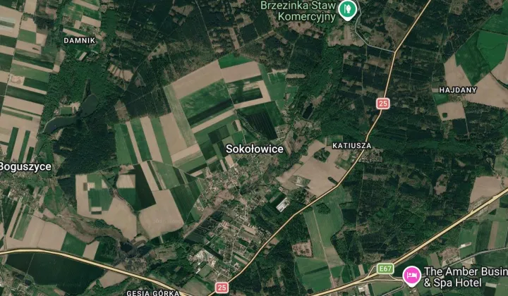 dom wolnostojący, 6 pokoi Sokołowice Sokołowice
