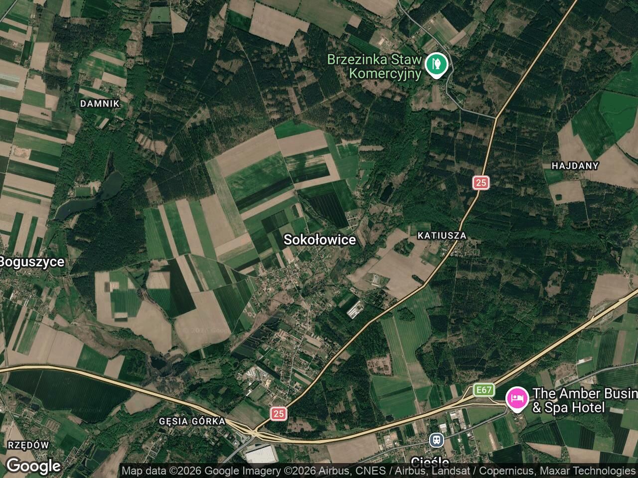 dom wolnostojący, 6 pokoi Sokołowice Sokołowice. Zdjęcie 1